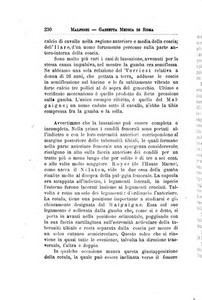 Gazzetta medica Malpighi