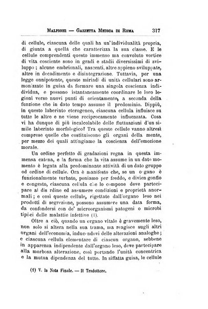 Gazzetta medica Malpighi