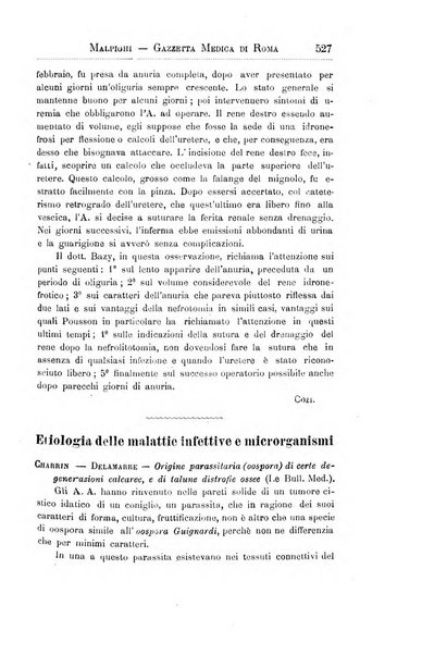 Gazzetta medica Malpighi