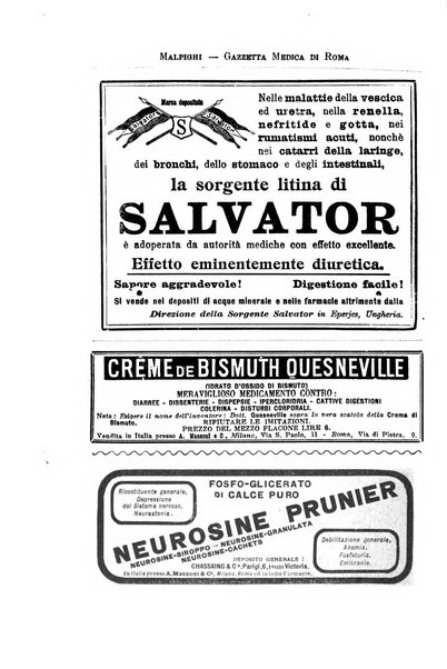 Gazzetta medica Malpighi