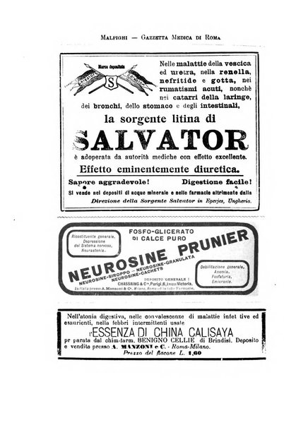 Gazzetta medica Malpighi