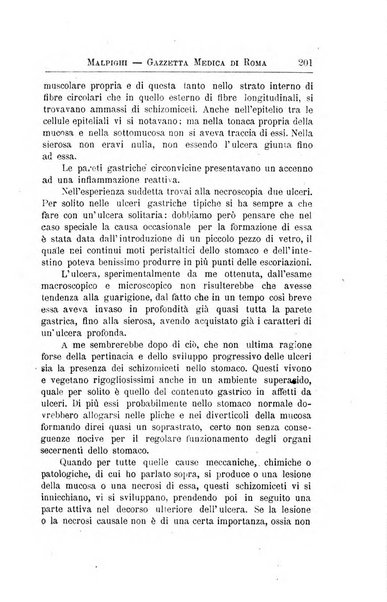 Gazzetta medica Malpighi