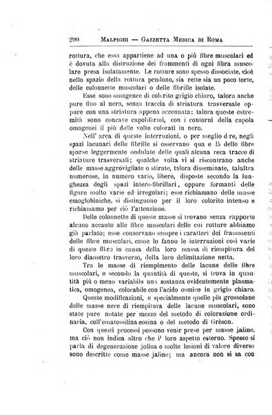 Gazzetta medica Malpighi