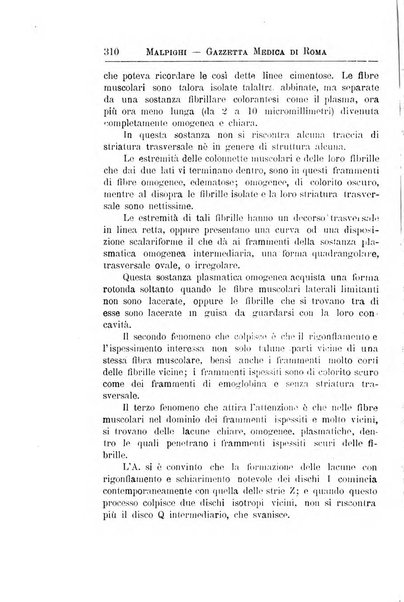 Gazzetta medica Malpighi