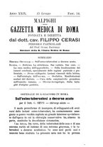 giornale/TO00216346/1903/unico/00000373