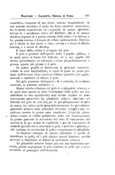 Gazzetta medica Malpighi