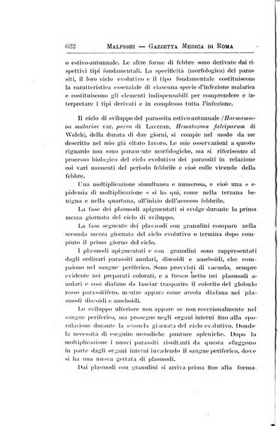 Gazzetta medica Malpighi