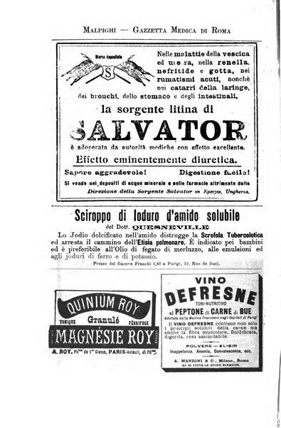 Gazzetta medica Malpighi