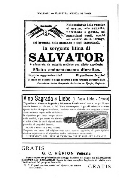 Gazzetta medica Malpighi