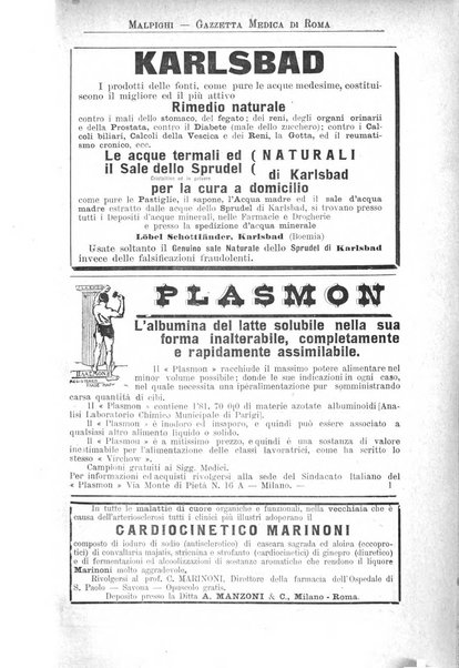 Gazzetta medica Malpighi