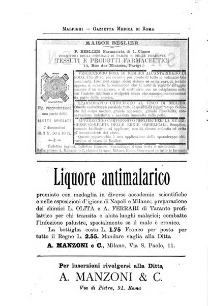 Gazzetta medica Malpighi