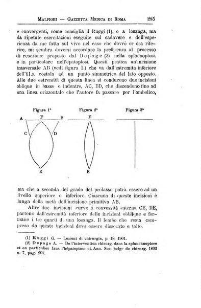 Gazzetta medica Malpighi