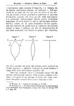 giornale/TO00216346/1906/unico/00000291