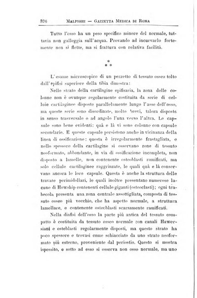 Gazzetta medica Malpighi