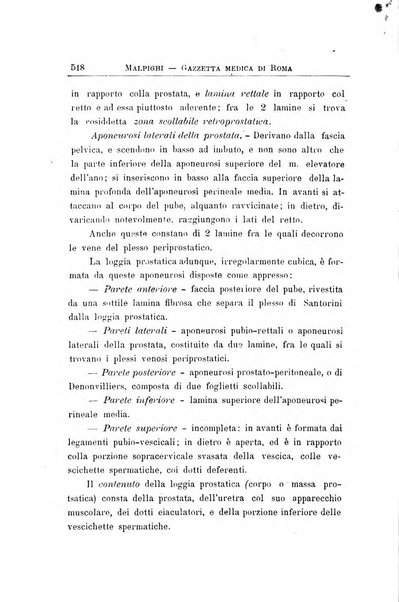 Gazzetta medica Malpighi