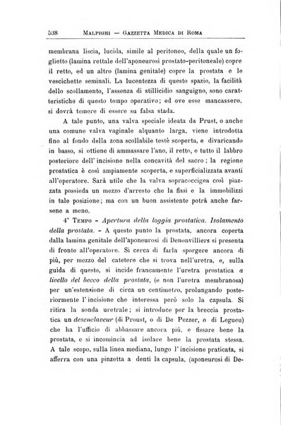 Gazzetta medica Malpighi