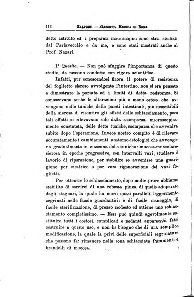 Gazzetta medica Malpighi