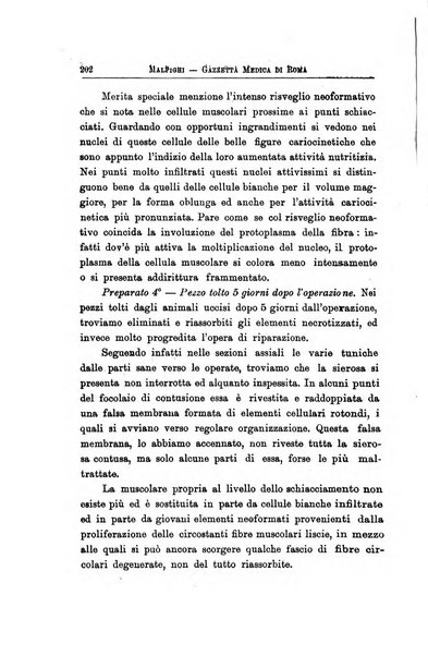 Gazzetta medica Malpighi