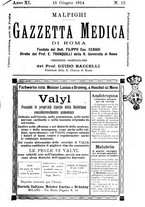 giornale/TO00216346/1914/unico/00000357
