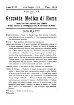 giornale/TO00216346/1916/unico/00000223