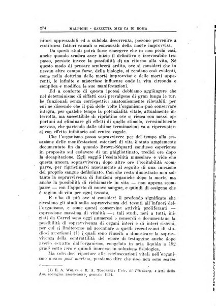 Gazzetta medica Malpighi