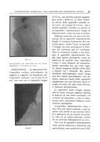 giornale/TO00216400/1930/unico/00000219