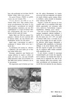 giornale/TO00216400/1932/unico/00000033