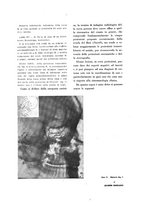 giornale/TO00216400/1932/unico/00000039