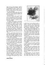 giornale/TO00216400/1933/unico/00000088