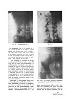 giornale/TO00216400/1933/unico/00000221