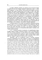 giornale/TO00216400/1936/unico/00000026