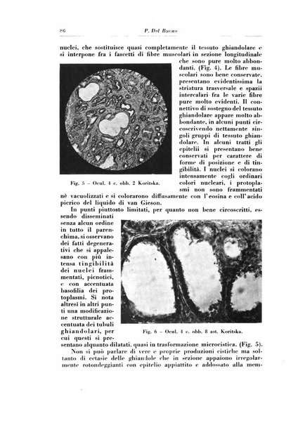 Rivista di radiologia e fisica medica