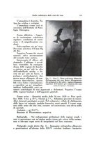 giornale/TO00216443/1931/unico/00000163