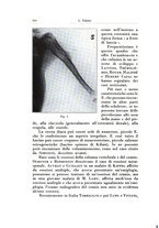 giornale/TO00216443/1931/unico/00000390