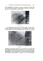 giornale/TO00216443/1931/unico/00000525