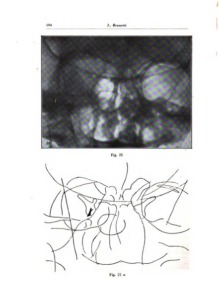 Rivista di radiologia e fisica medica