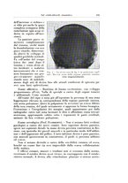 giornale/TO00216443/1932/unico/00000213