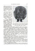 giornale/TO00216443/1932/unico/00000215
