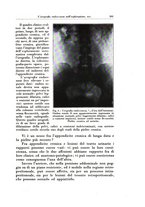 giornale/TO00216443/1932/unico/00000279