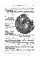 giornale/TO00216443/1932/unico/00000341