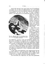 giornale/TO00216443/1932/unico/00000342