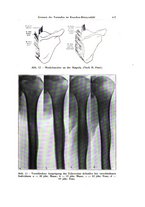 giornale/TO00216443/1932/unico/00000475