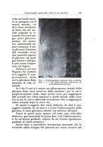 giornale/TO00216443/1932/unico/00000557