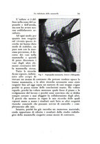 giornale/TO00216443/1932/unico/00000719