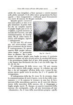 giornale/TO00216443/1932/unico/00000887