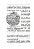 giornale/TO00216443/1933/unico/00000046