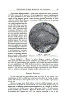 giornale/TO00216443/1933/unico/00000067