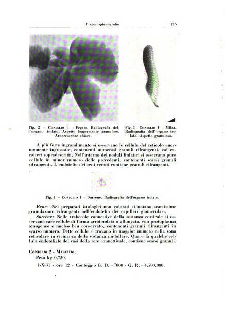 Rivista di radiologia e fisica medica