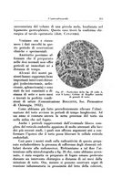 giornale/TO00216443/1933/unico/00000241