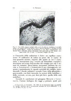 giornale/TO00216443/1933/unico/00000248